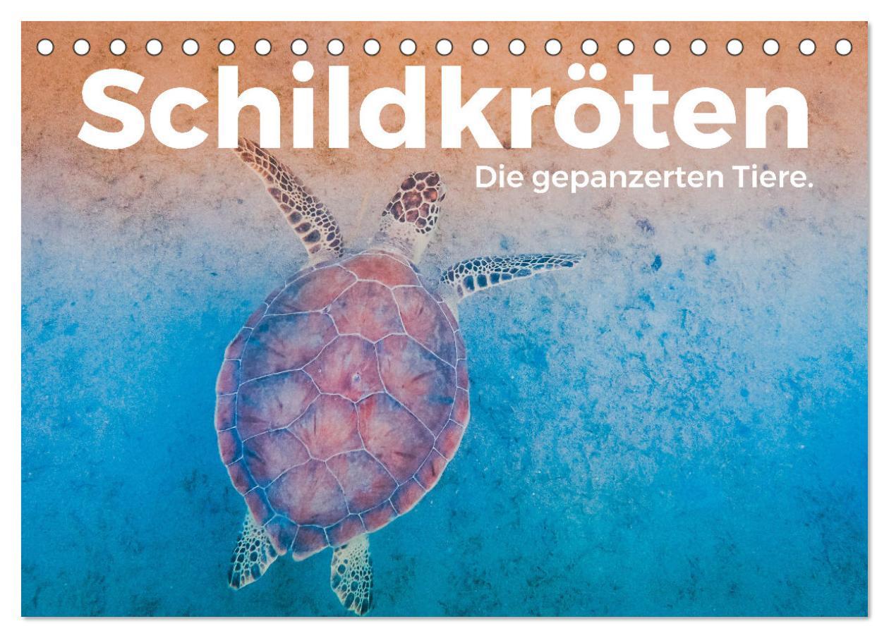 Cover: 9783383996610 | Schildkröten - Die gepanzerten Tiere. (Tischkalender 2025 DIN A5...