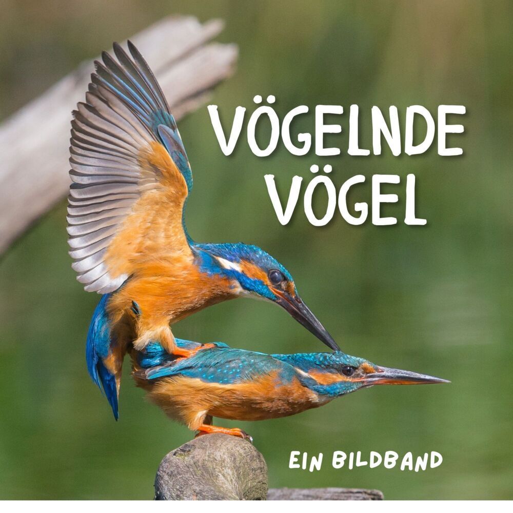 Cover: 9783750506411 | Vögelnde Vögel | Ein Bildband | Tim Fröhlich | Taschenbuch | 42 S.