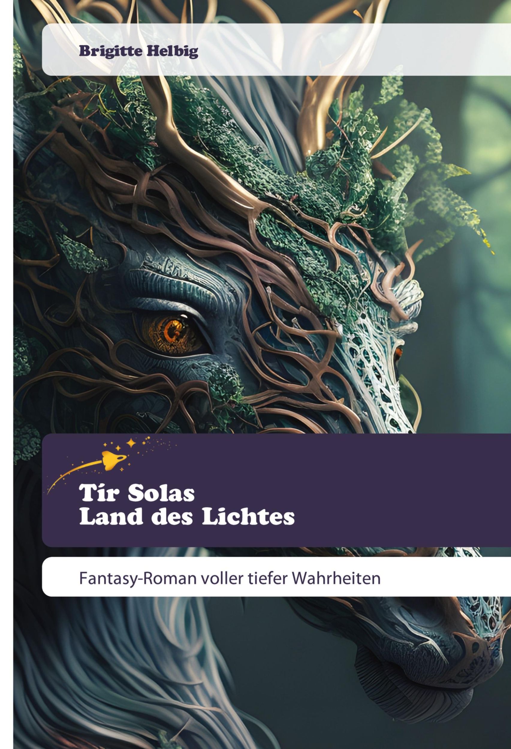 Cover: 9783639800319 | Tír Solas Land des Lichtes | Fantasy-Roman voller tiefer Wahrheiten