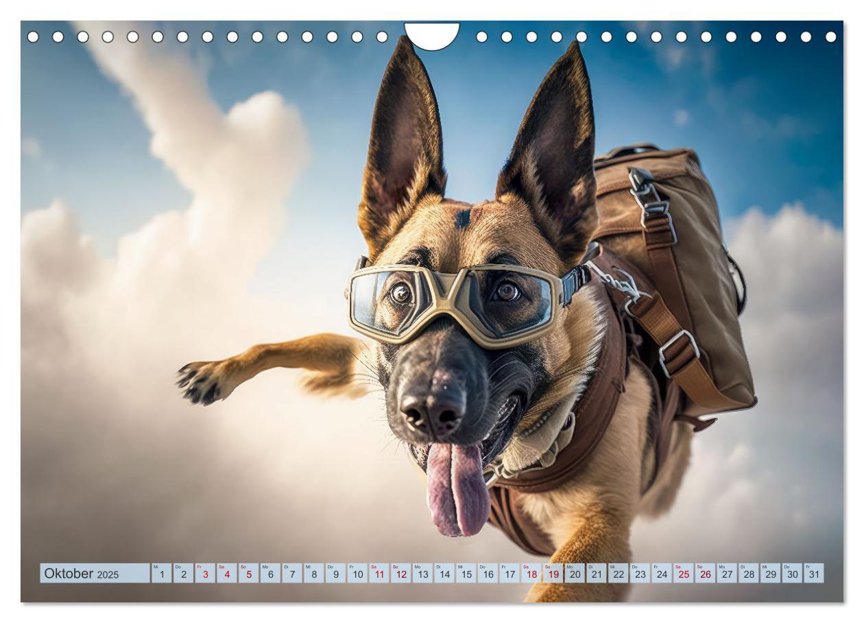 Bild: 9783383867149 | Hunde Skydiving (Wandkalender 2025 DIN A4 quer), CALVENDO...