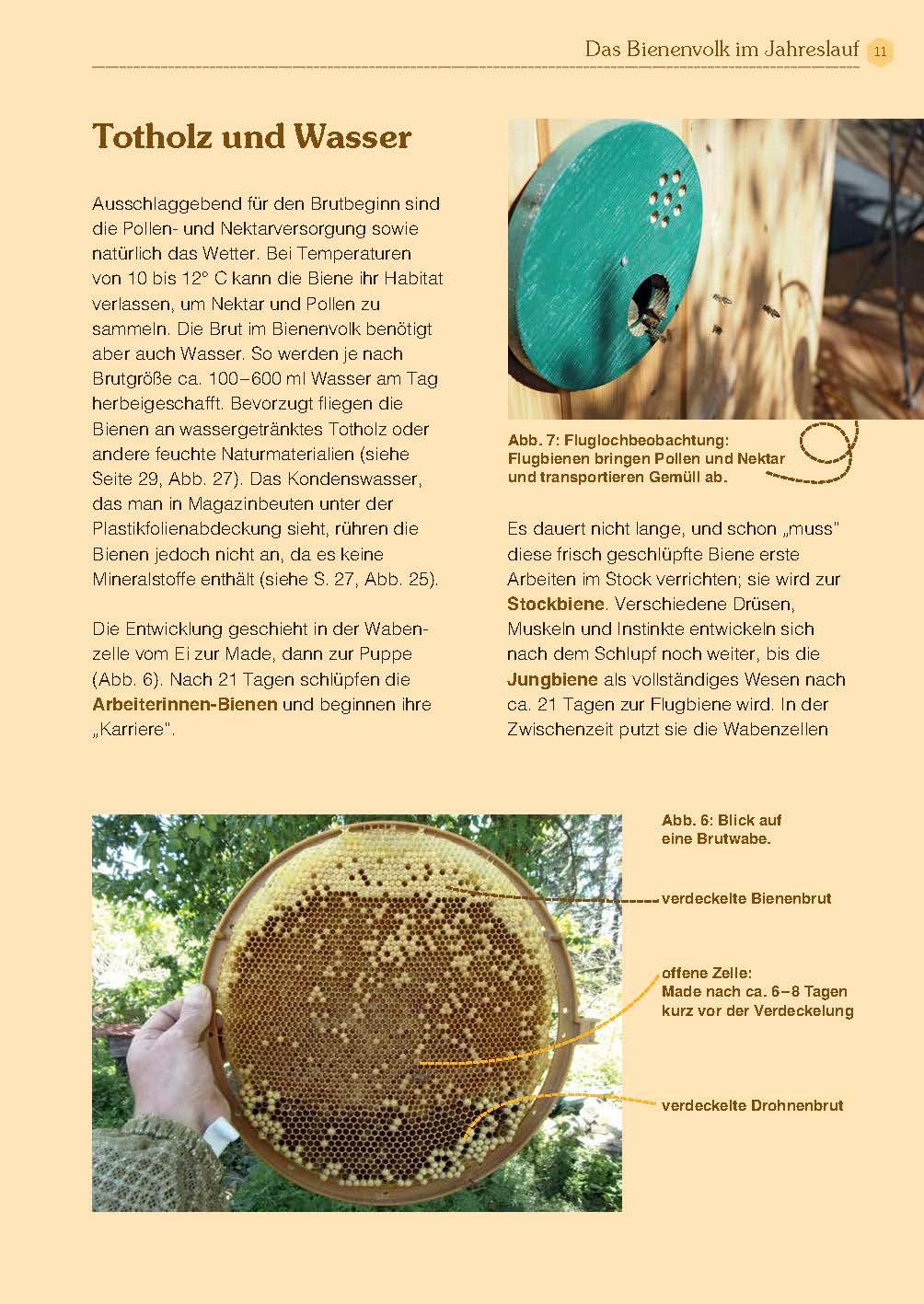 Bild: 9783955877989 | Mit Bienen die Welt retten | Andreas Heidinger | Taschenbuch | 160 S.