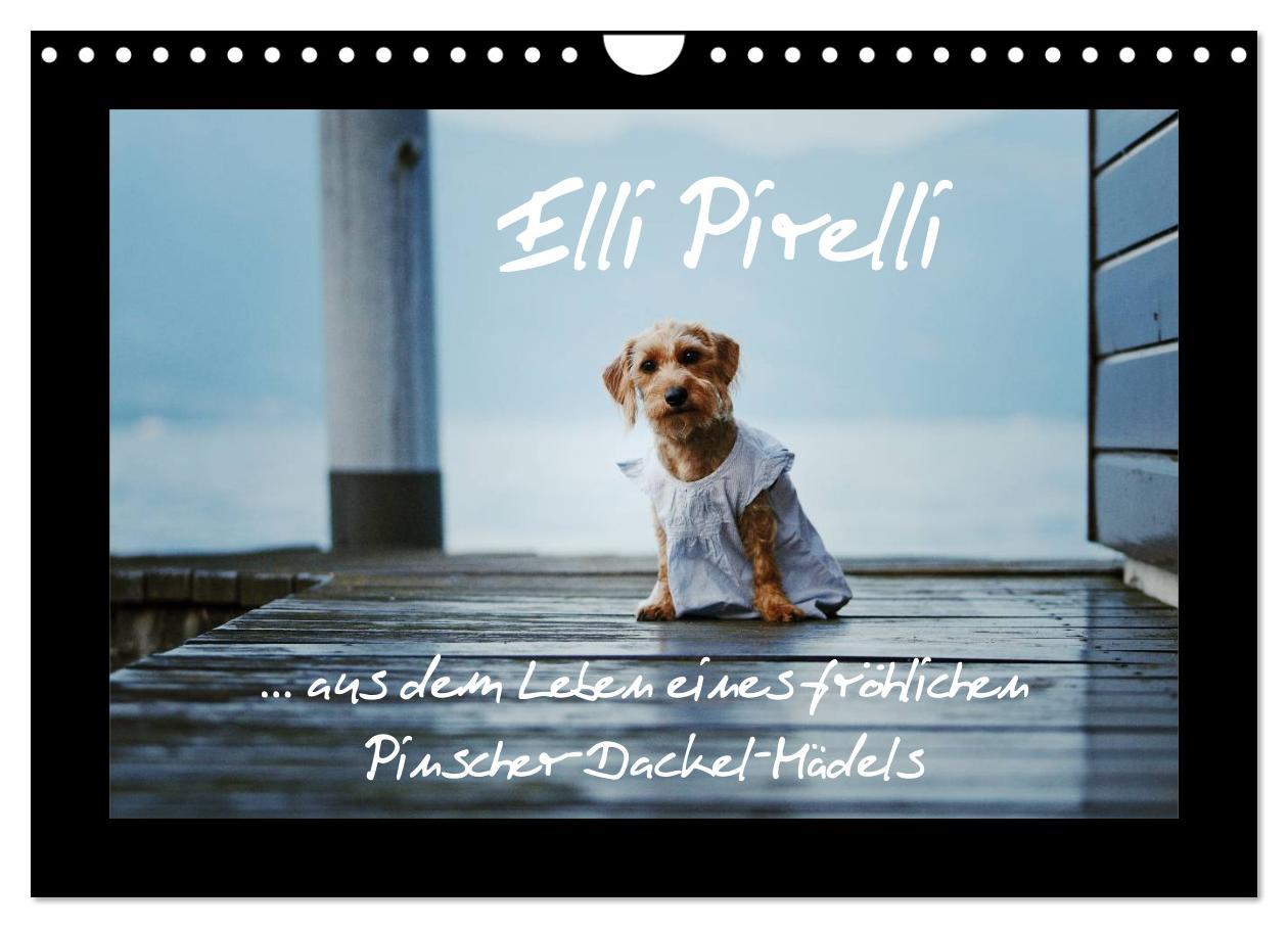 Cover: 9783435758012 | Elli Pirelli... aus dem Leben eines fröhlichen...