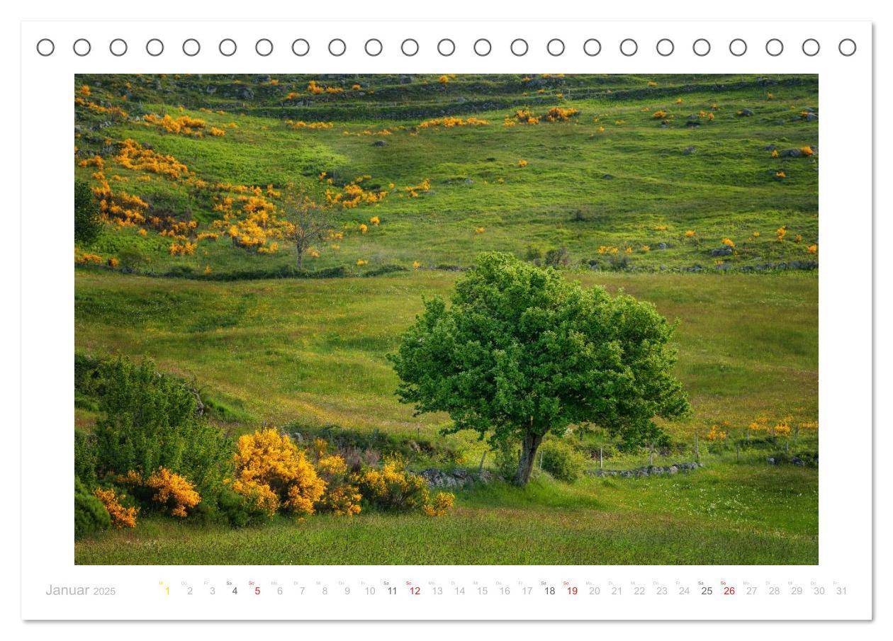 Bild: 9783435696390 | Streifzug durch die Provence (Tischkalender 2025 DIN A5 quer),...