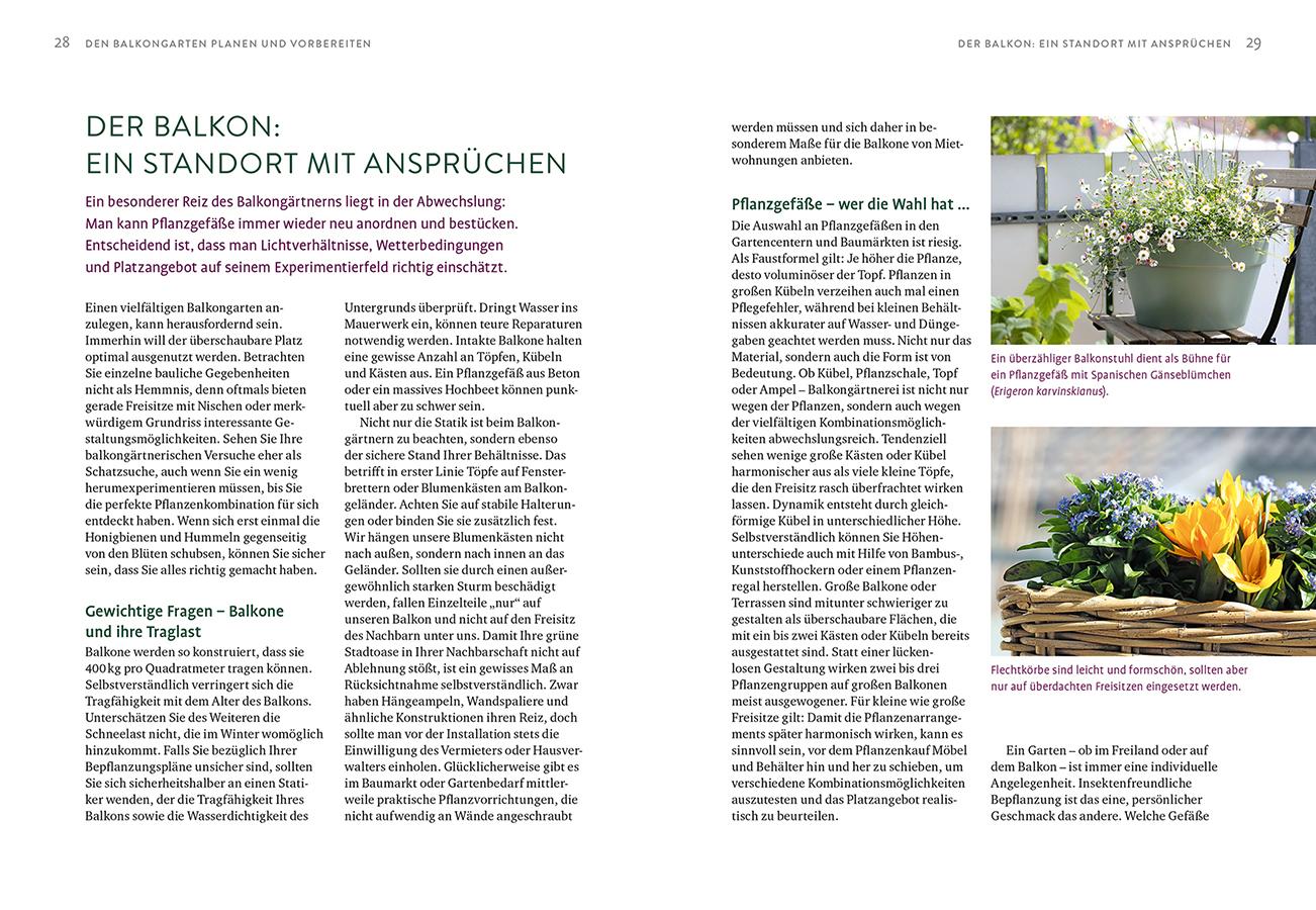 Bild: 9783818624705 | Biene sucht Balkon | Anne Carsten (u. a.) | Taschenbuch | 128 S.