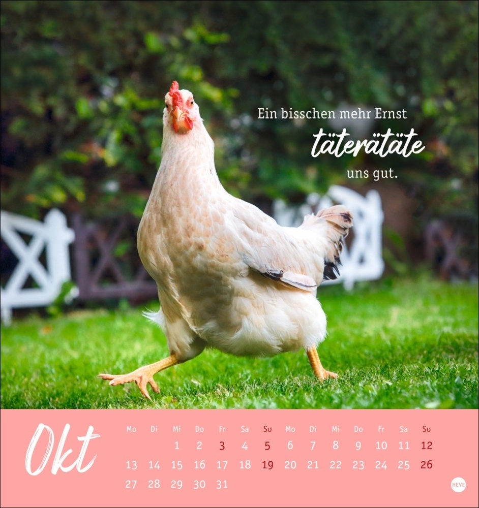 Bild: 9783756408573 | Hühner Postkartenkalender 2025 - Ach, du verrücktes Huhn! | Kalender