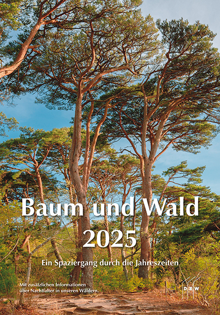 Cover: 9783871819612 | Baum und Wald 2025 | Ein Spaziergang durch die Jahreszeiten | Kalender