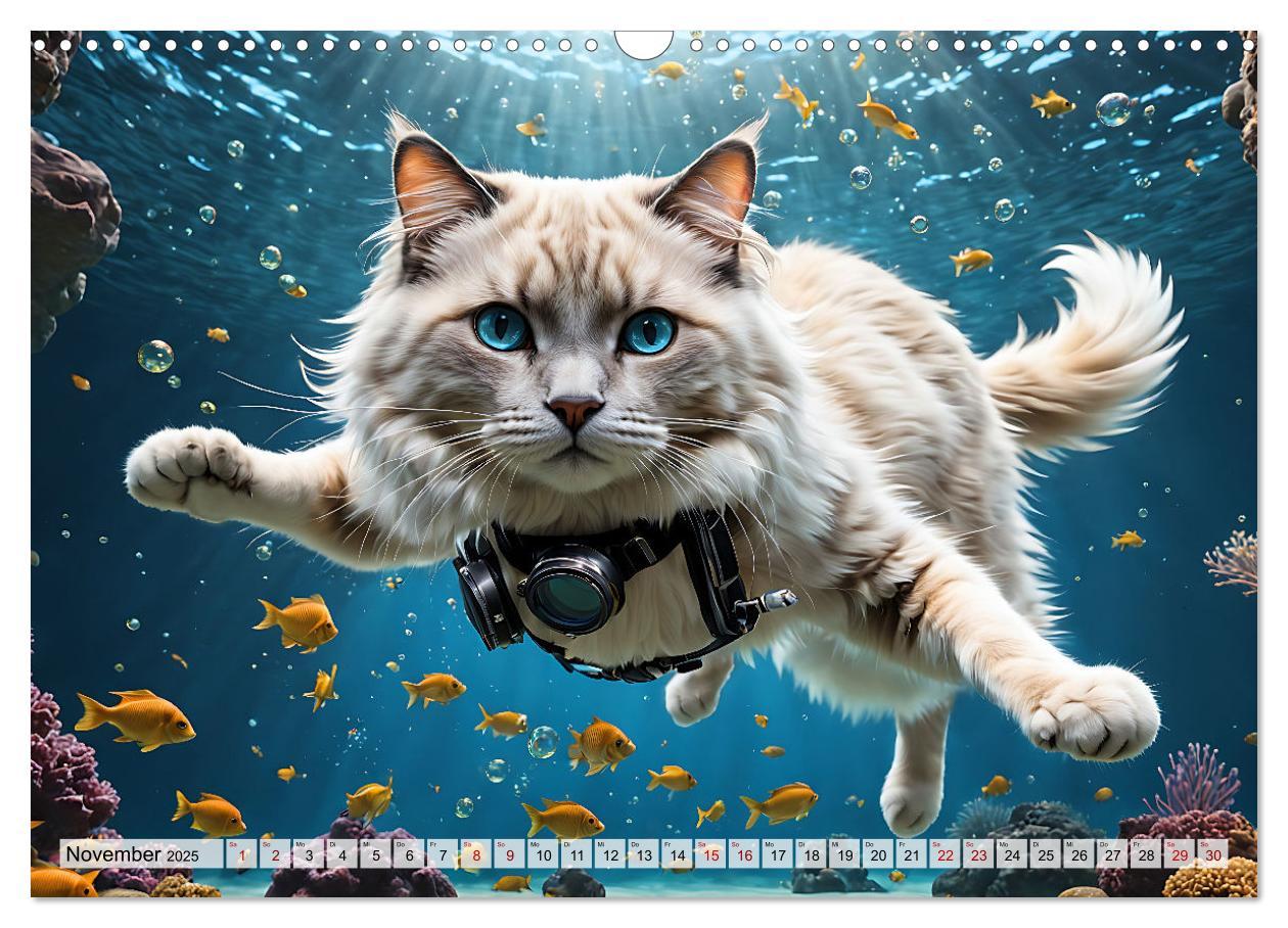 Bild: 9783383842542 | Katzen unter Wasser (Wandkalender 2025 DIN A3 quer), CALVENDO...