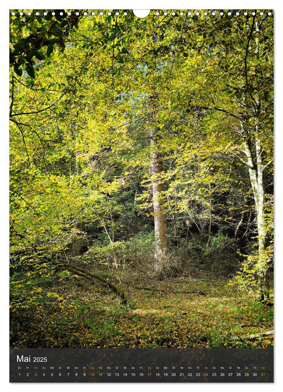 Bild: 9783457239612 | Eifel Traumpfad Höhlen- und Schluchtenstieg (Wandkalender 2025 DIN...