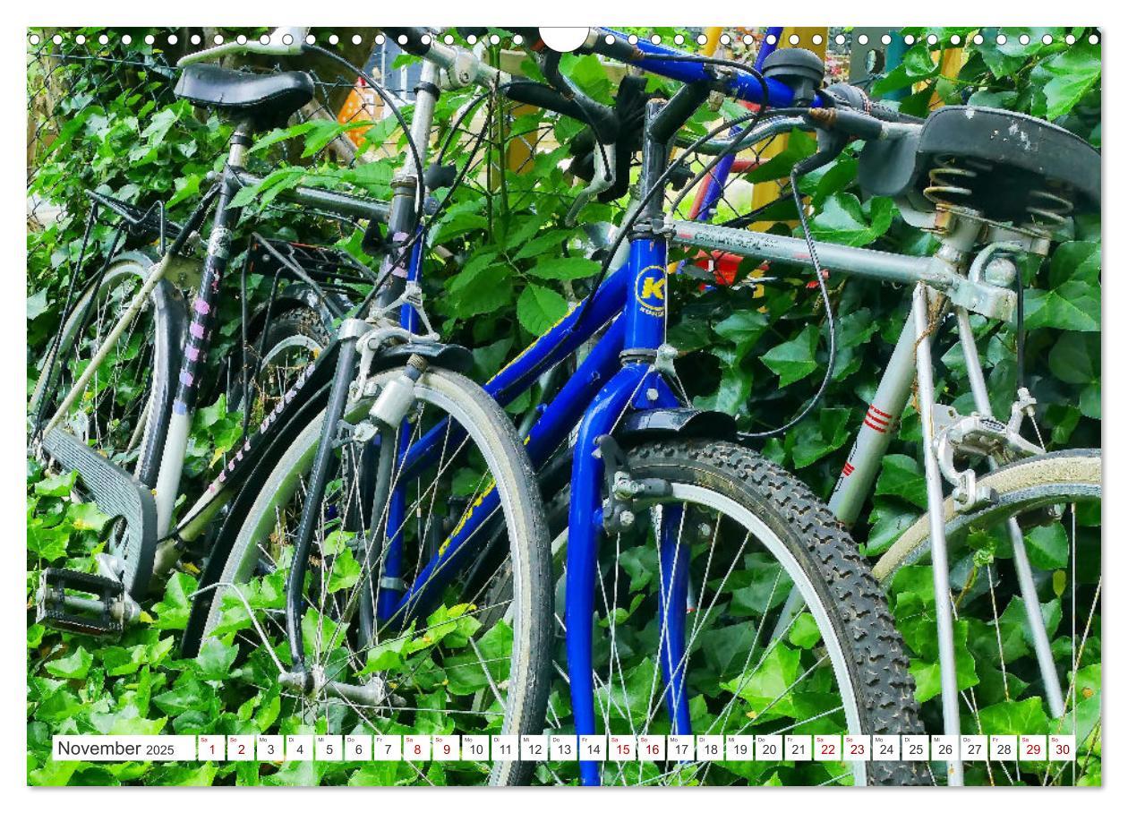 Bild: 9783383964220 | Fahr mal wieder Fahrrad (Wandkalender 2025 DIN A3 quer), CALVENDO...