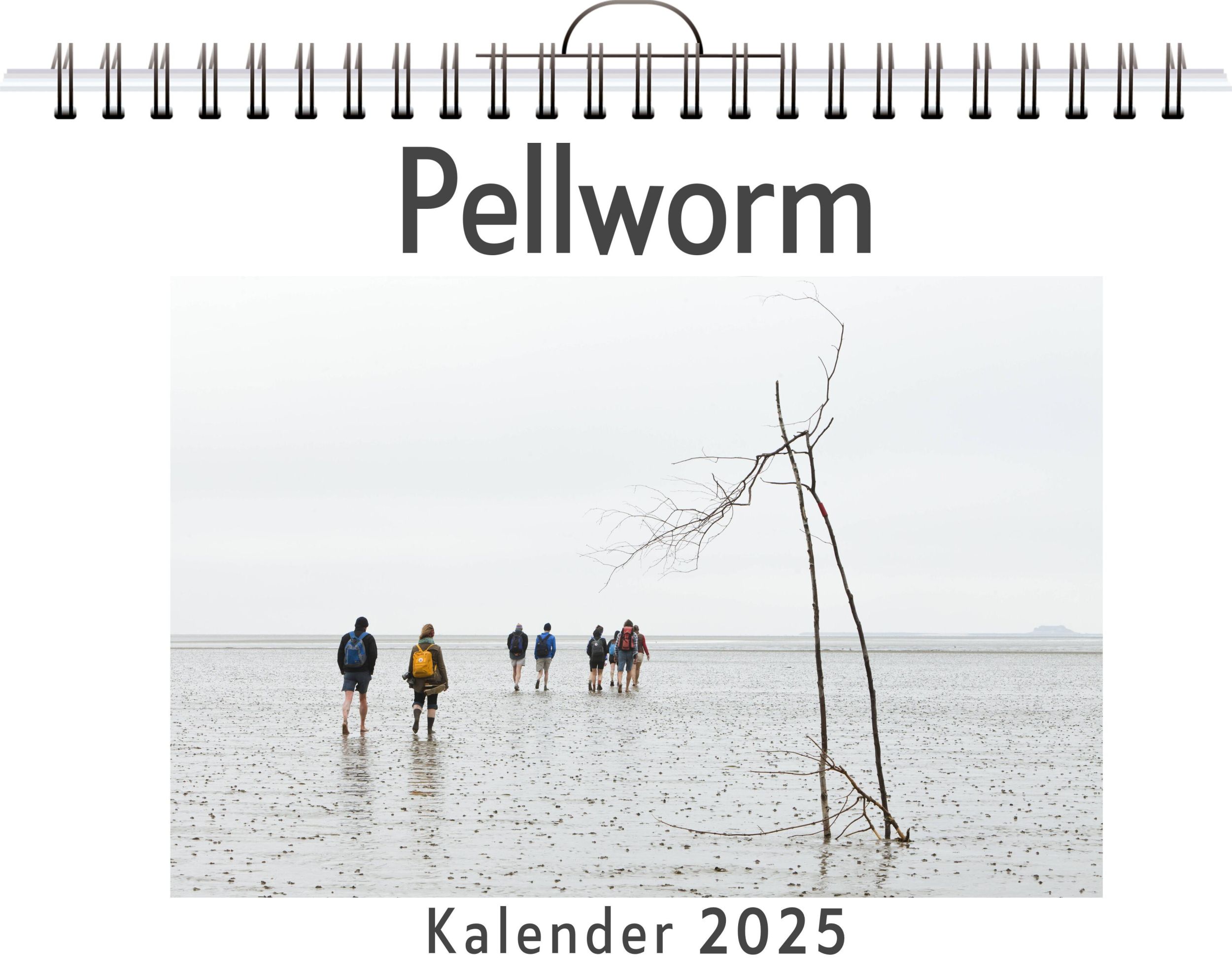 Cover: 9783759126337 | Pellworm | Marie Friedrich | Kalender | Kalender | 14 S. | Deutsch