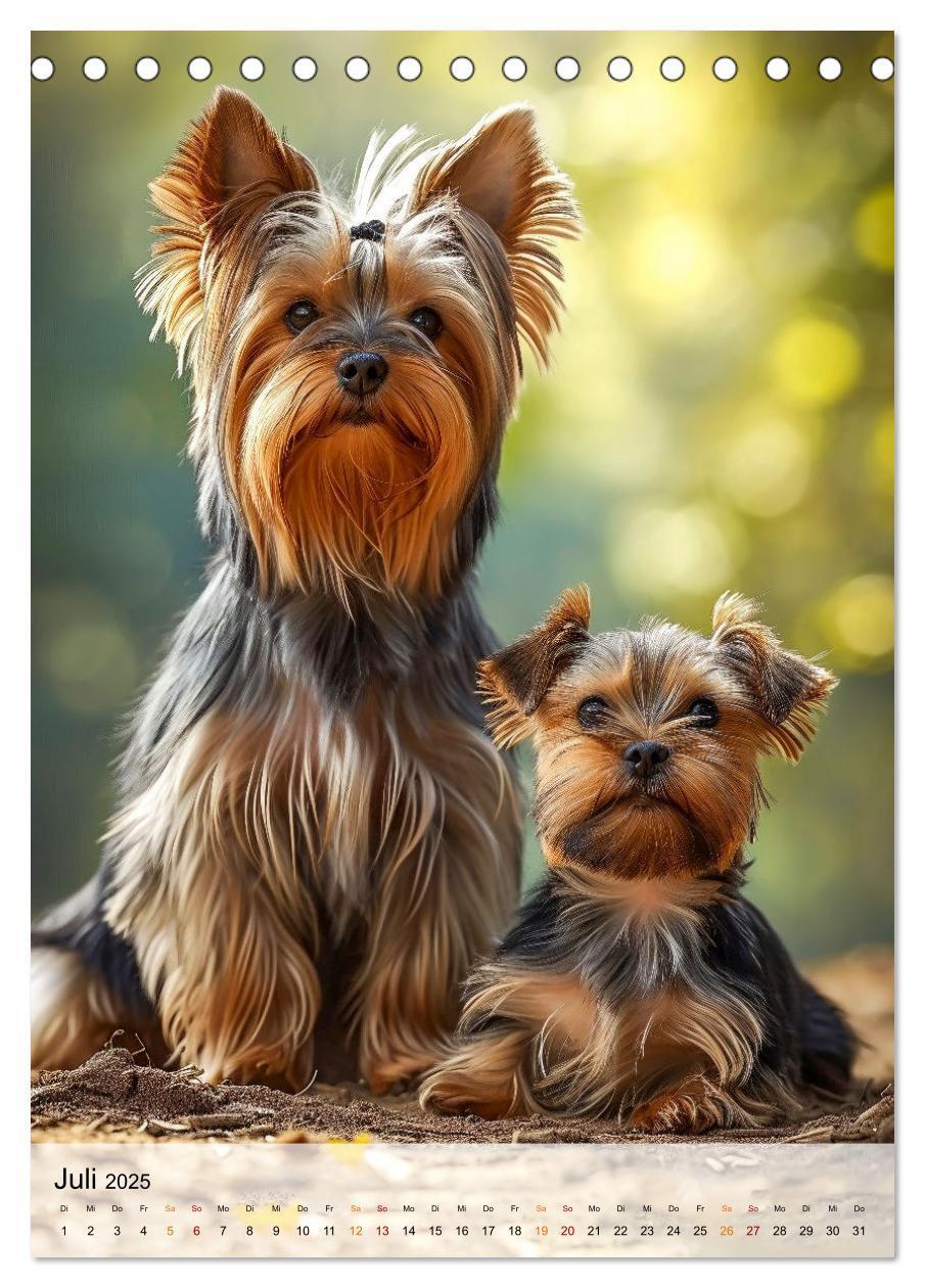 Bild: 9783383771743 | Yorkshire Terrier - ein Hund mit starkem Charakter (Tischkalender...