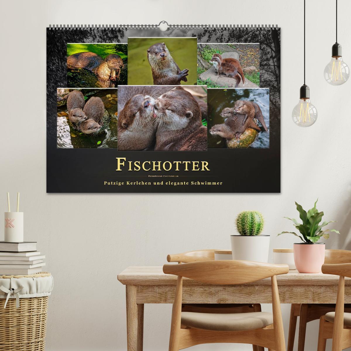 Bild: 9783435376353 | Fischotter - putzige Kerlchen und elegante Schwimmer (Wandkalender...