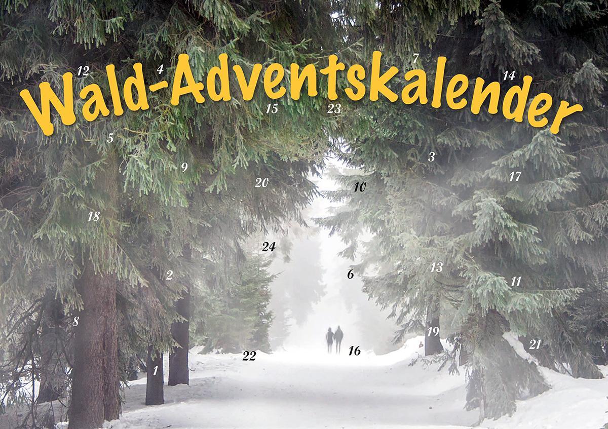 Cover: 9783967170528 | Durch den Wald im Advent | Kalender | 1 S. | Deutsch | Husum Druck