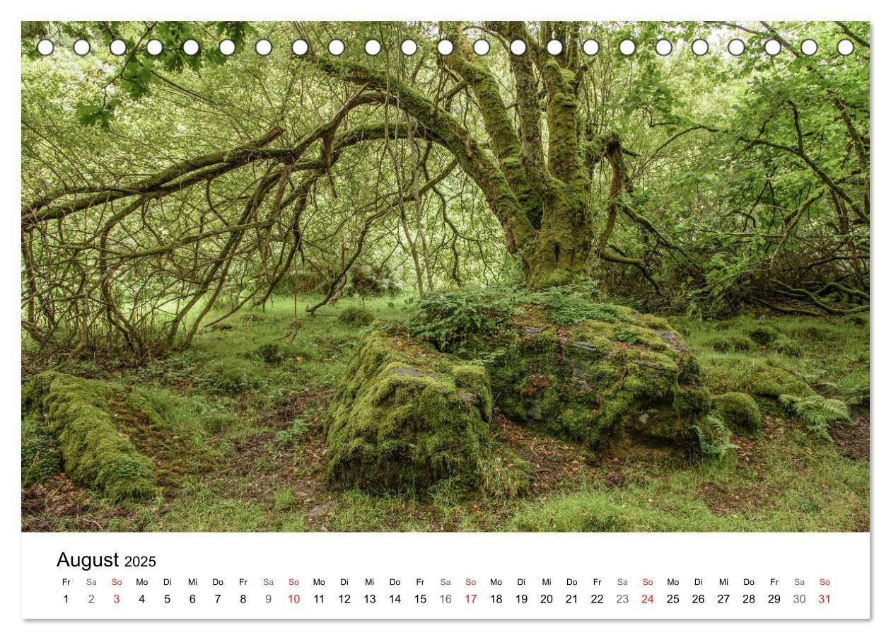 Bild: 9783435515738 | Foto-Momente Süd-England - Magische Orte (Tischkalender 2025 DIN A5...