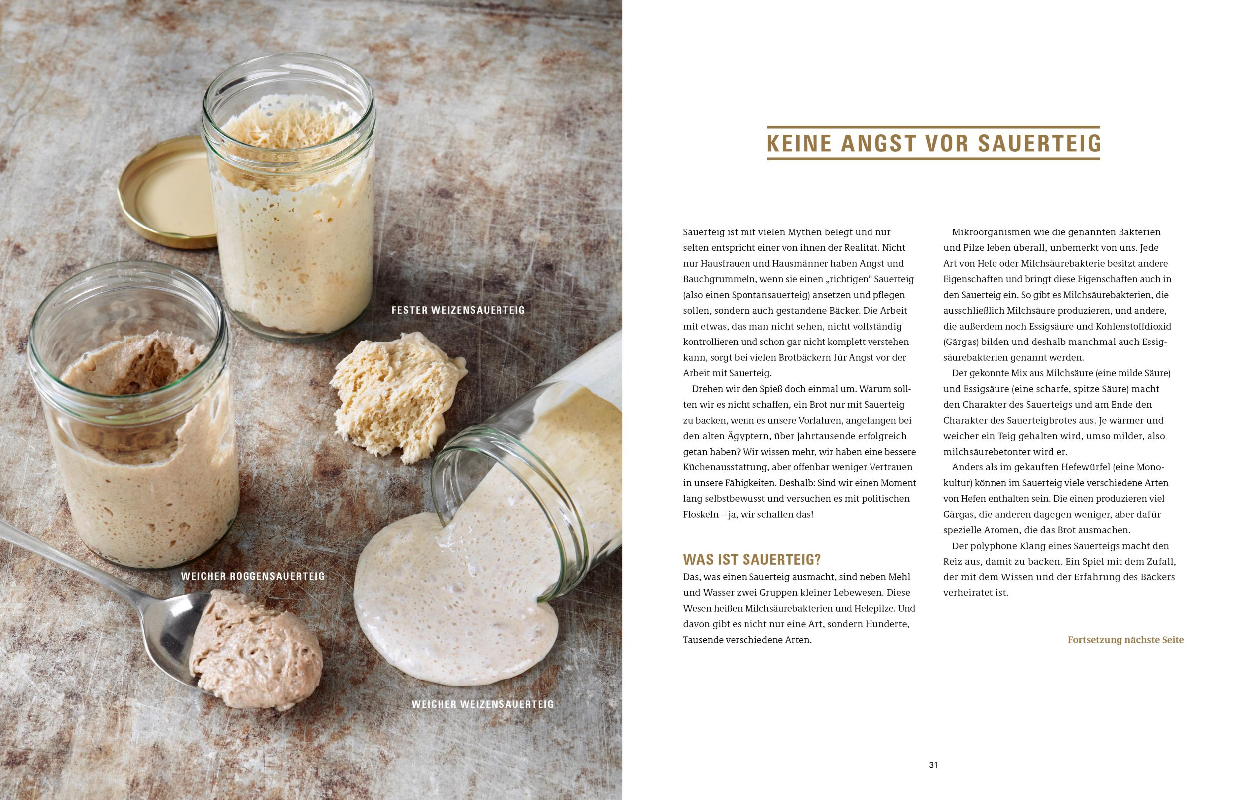 Bild: 9783954531394 | Brot backen in Perfektion mit Sauerteig | Lutz Geißler | Buch | 192 S.