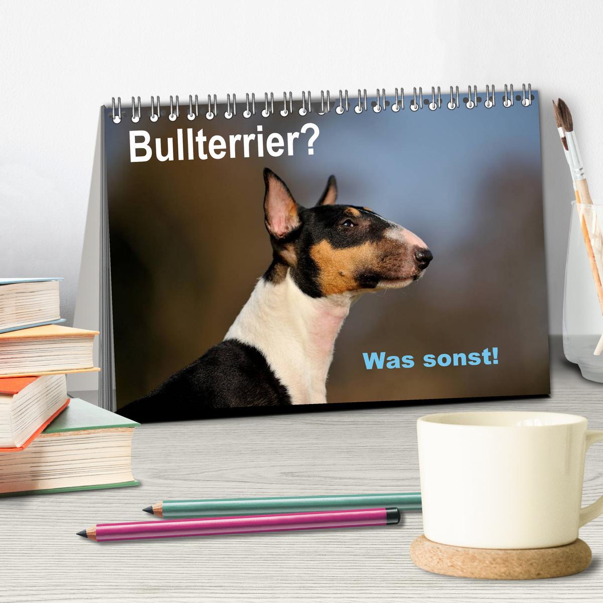 Bild: 9783435585946 | Bullterrier? Was sonst! (Tischkalender 2025 DIN A5 quer), CALVENDO...