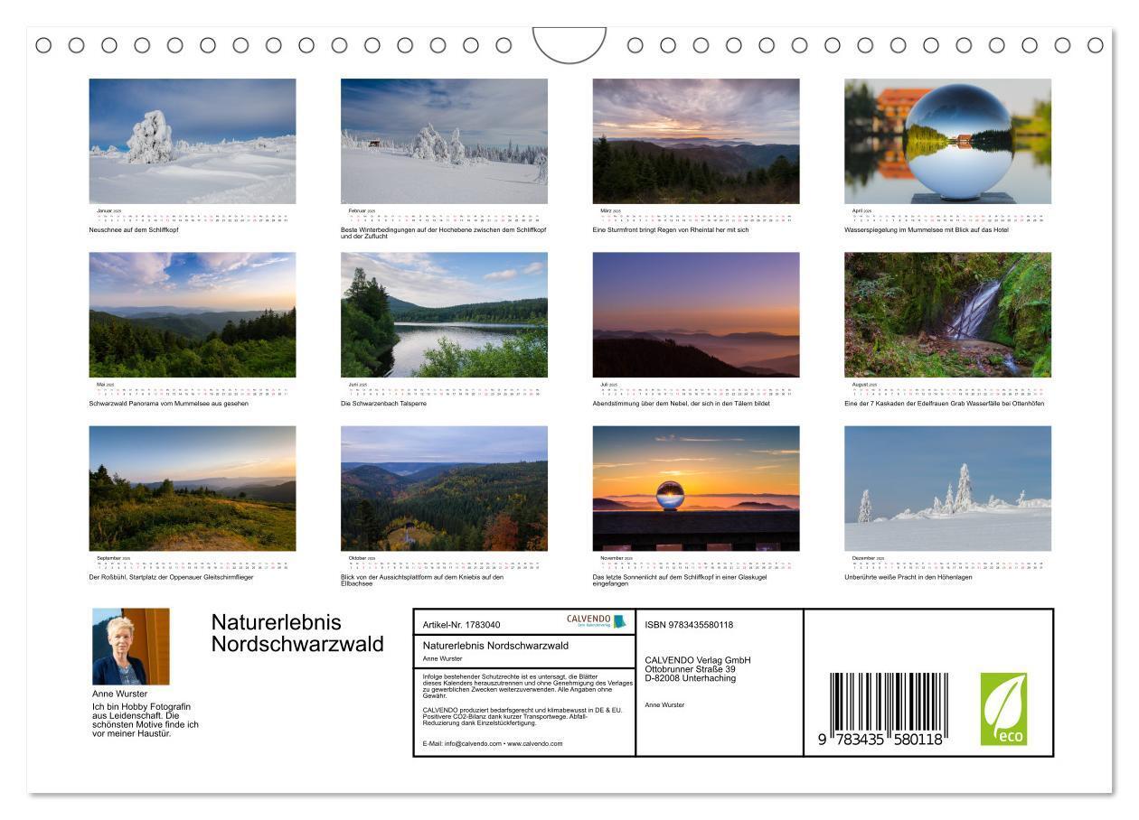 Bild: 9783435580118 | Naturerlebnis Nordschwarzwald (Wandkalender 2025 DIN A4 quer),...