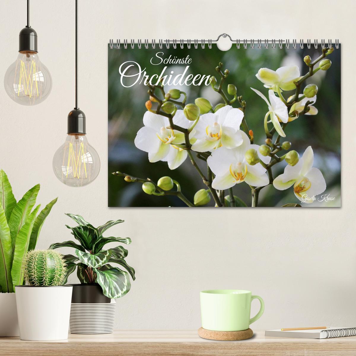 Bild: 9783383915901 | Schönste Orchideen (Wandkalender 2025 DIN A4 quer), CALVENDO...