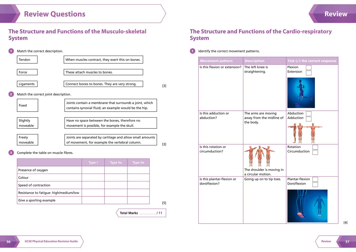 Bild: 9780008166281 | GCSE 9-1 Physical Education All-in-One Complete Revision and Practice