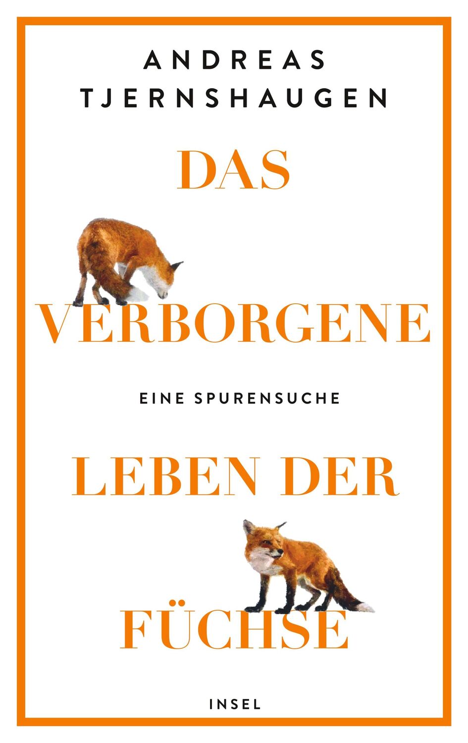 Cover: 9783458643715 | Das verborgene Leben der Füchse | Andreas Tjernshaugen | Buch | 214 S.