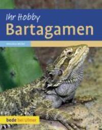 Cover: 9783800167685 | Bartagamen | Veronika Müller | Buch | Deutsch | 2010