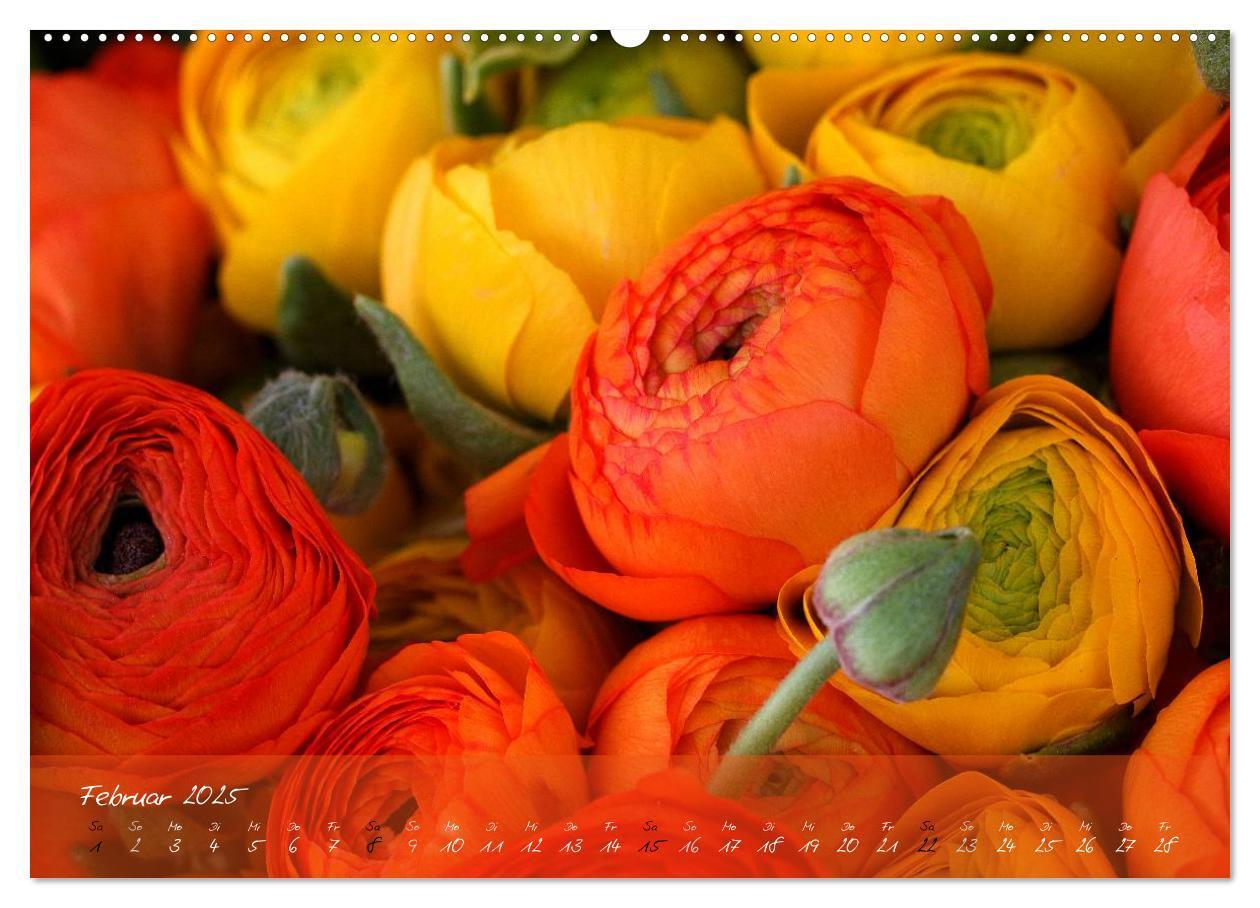 Bild: 9783435619177 | Blüten dicht an dicht (Wandkalender 2025 DIN A2 quer), CALVENDO...