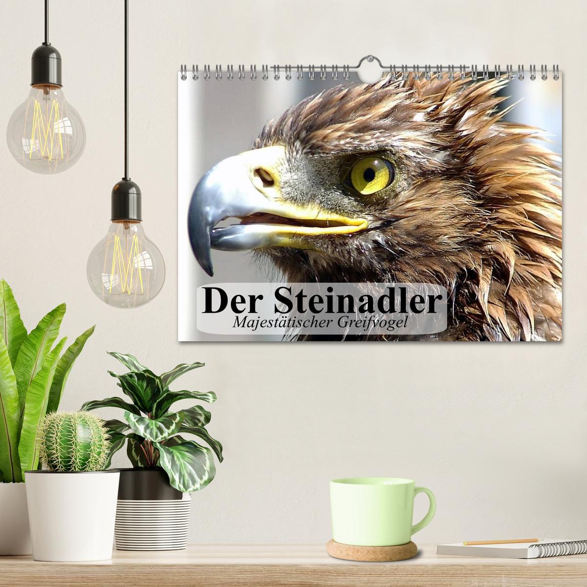 Bild: 9783435515493 | Der Steinadler. Majestätischer Greifvogel (Wandkalender 2025 DIN A4...