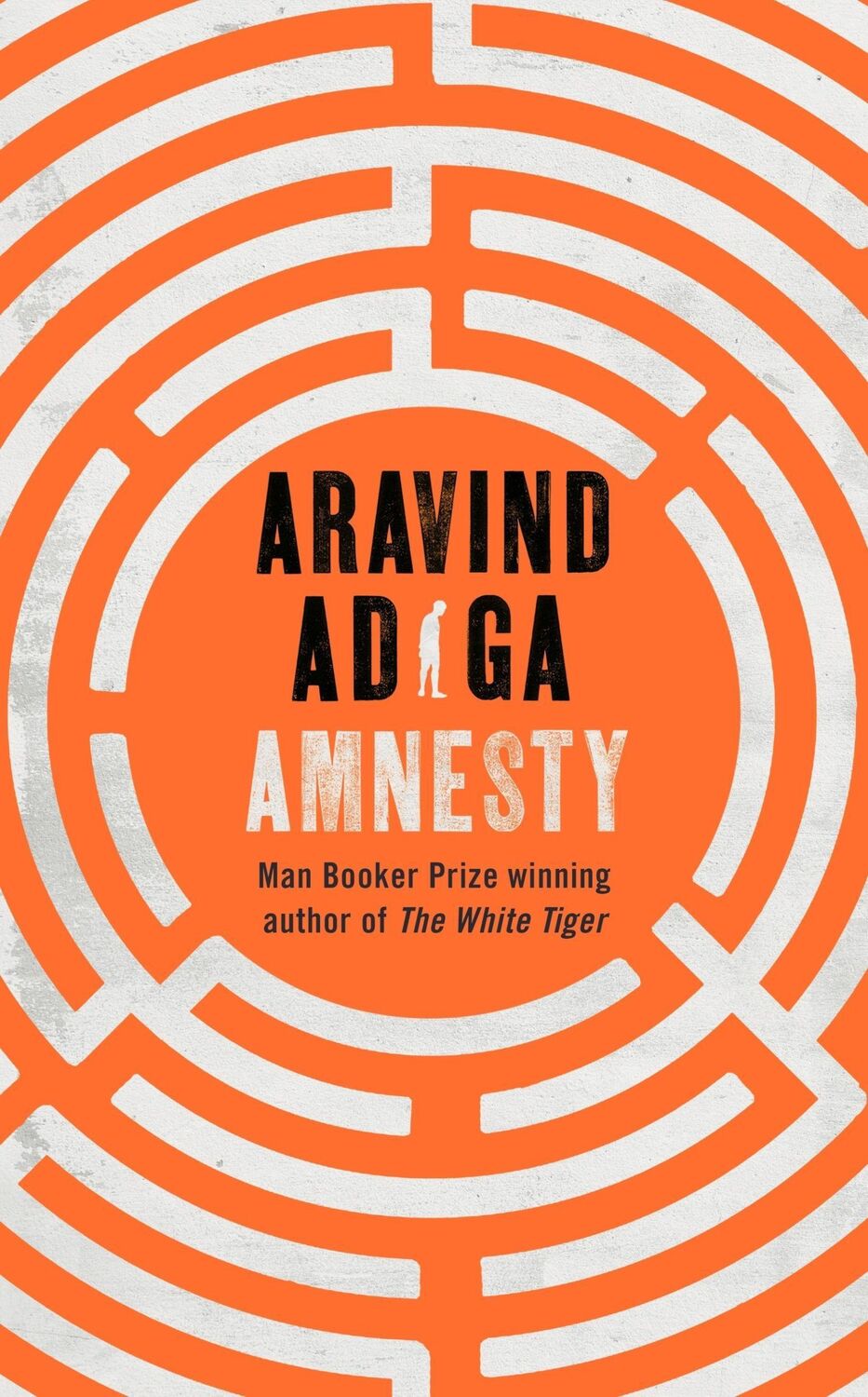 Cover: 9781509879038 | Amnesty | Aravind Adiga | Buch | Gebunden | Englisch | 2020