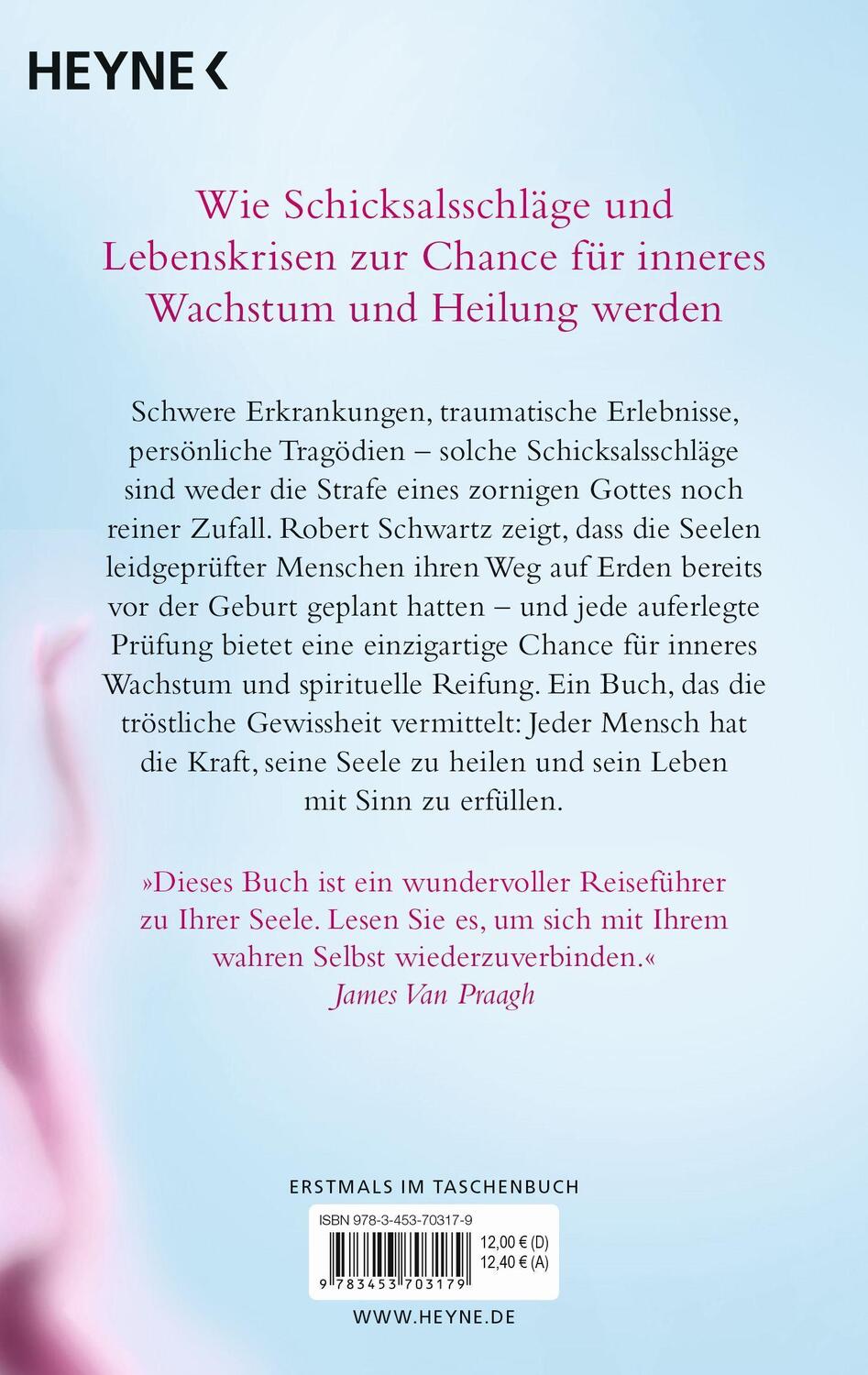 Bild: 9783453703179 | Jede Seele plant ihren Weg | Robert Schwartz | Taschenbuch | Deutsch