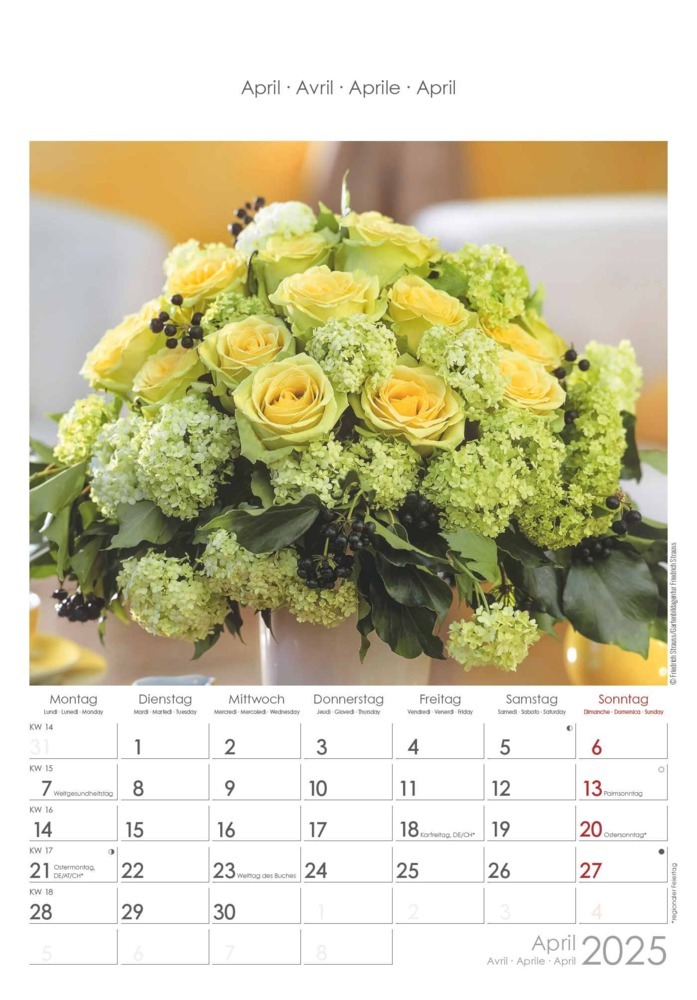 Bild: 4251732340995 | Alpha Edition - Rosenträume 2025 Bildkalender, 23,7x34cm,...