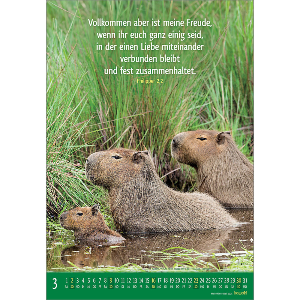 Bild: 9783754845059 | Meine kleine Welt 2025 | Tierkalender mit Bibelworten | Kalender