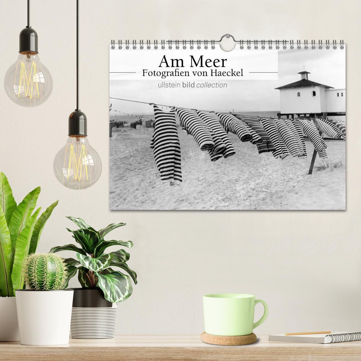 Bild: 9783435584598 | Am Meer - Fotografie von Haeckel (Wandkalender 2025 DIN A4 quer),...