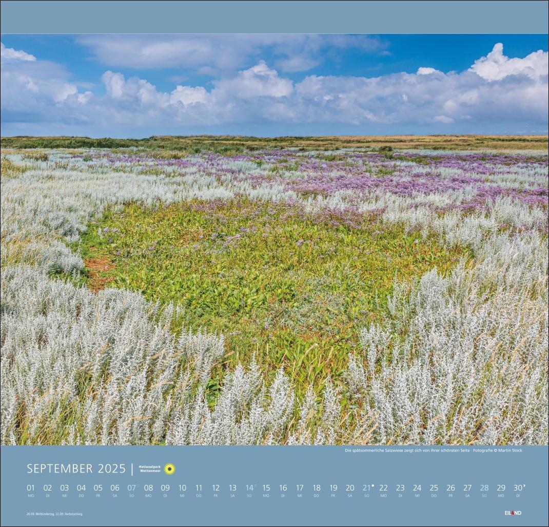 Bild: 9783964023124 | Nationalpark Wattenmeer Edition Kalender 2025 - Martin Stock | 13 S.