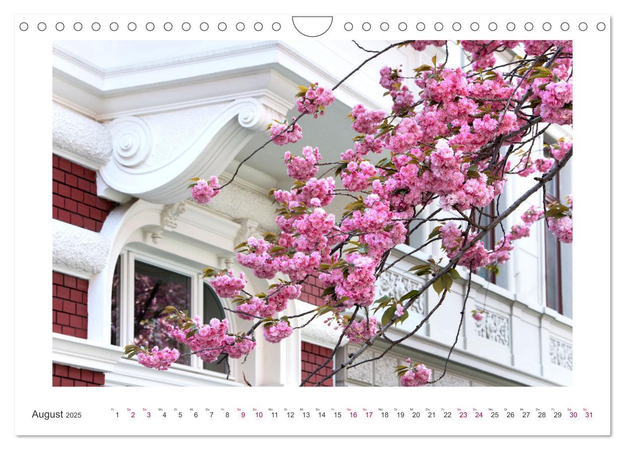 Bild: 9783457128084 | Japanische Kirschblüte in Bonn (Wandkalender 2025 DIN A4 quer),...