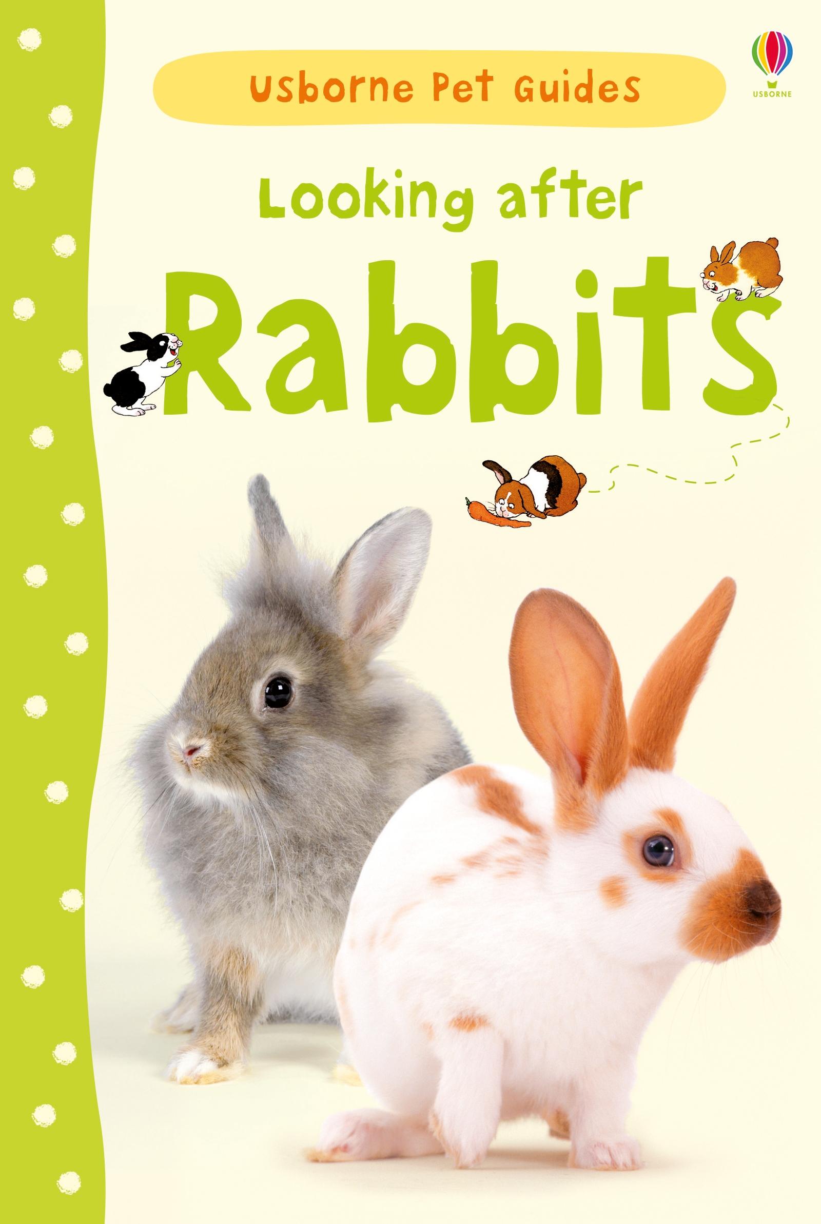 Cover: 9781409532439 | Looking after Rabbits | Fiona Patchett | Buch | Gebunden | Englisch