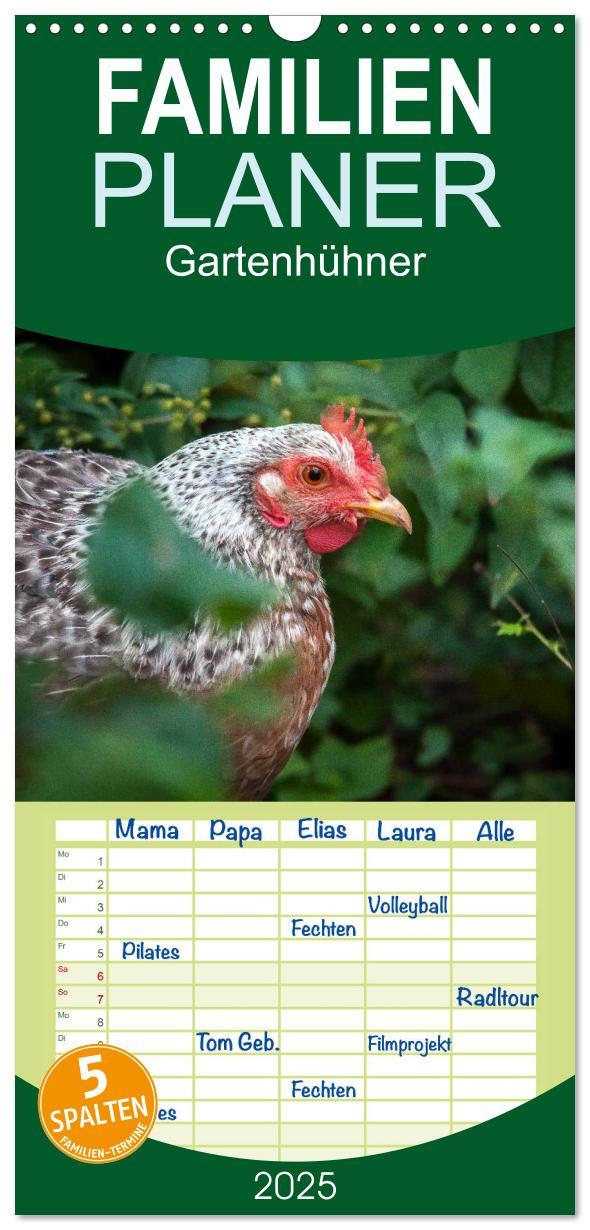 Cover: 9783457116302 | Familienplaner 2025 - Gartenhühner mit 5 Spalten (Wandkalender, 21...