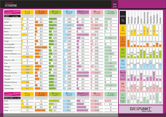 Bild: 9783864487101 | Info-Tafel-Set Vitamine | Stück | 4 S. | Deutsch | 2021
