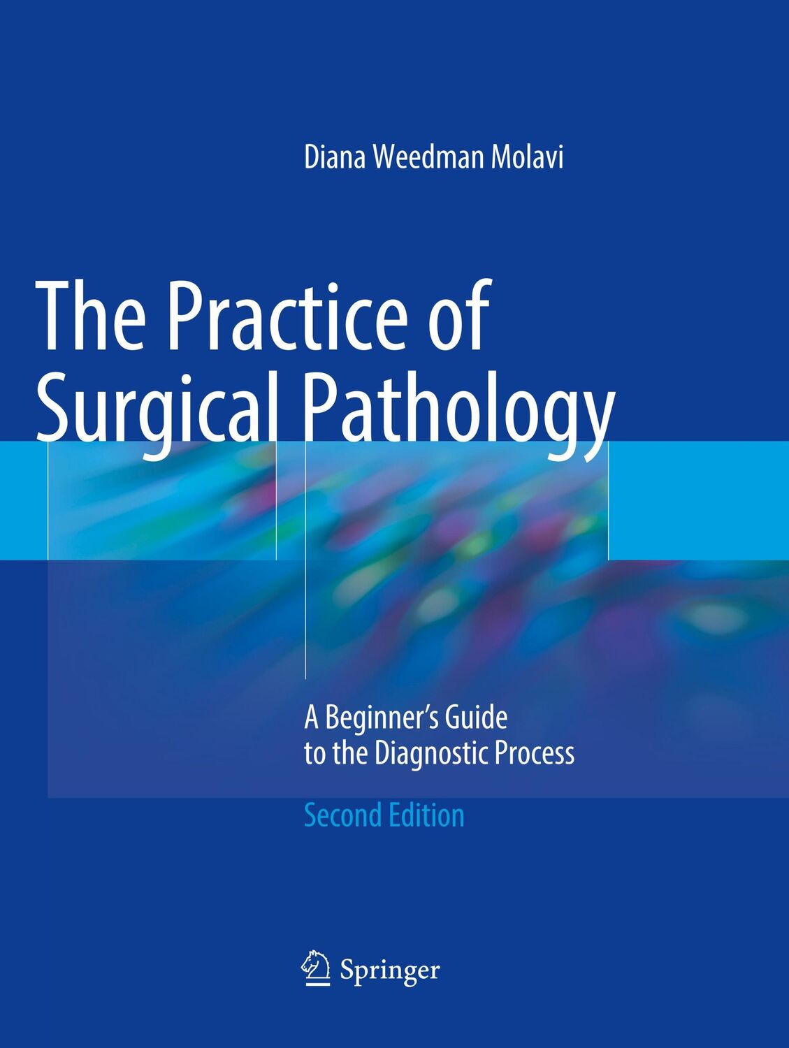 Cover: 9783319865706 | The Practice of Surgical Pathology | Diana Weedman Molavi | Buch | xiv