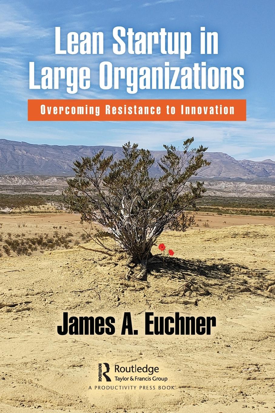 Cover: 9781138359130 | Lean Startup in Large Organizations | James A. Euchner | Taschenbuch