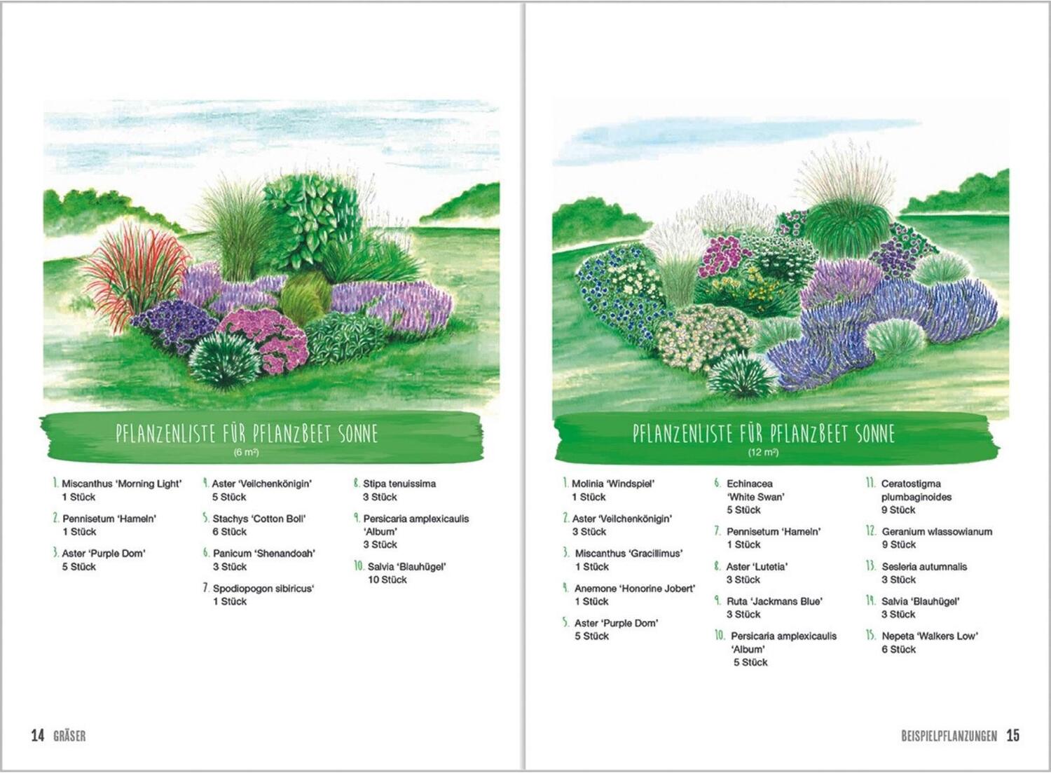 Bild: 9783784355009 | MDR Garten - Gräser | Horst Schöne | Buch | Deutsch | 2018