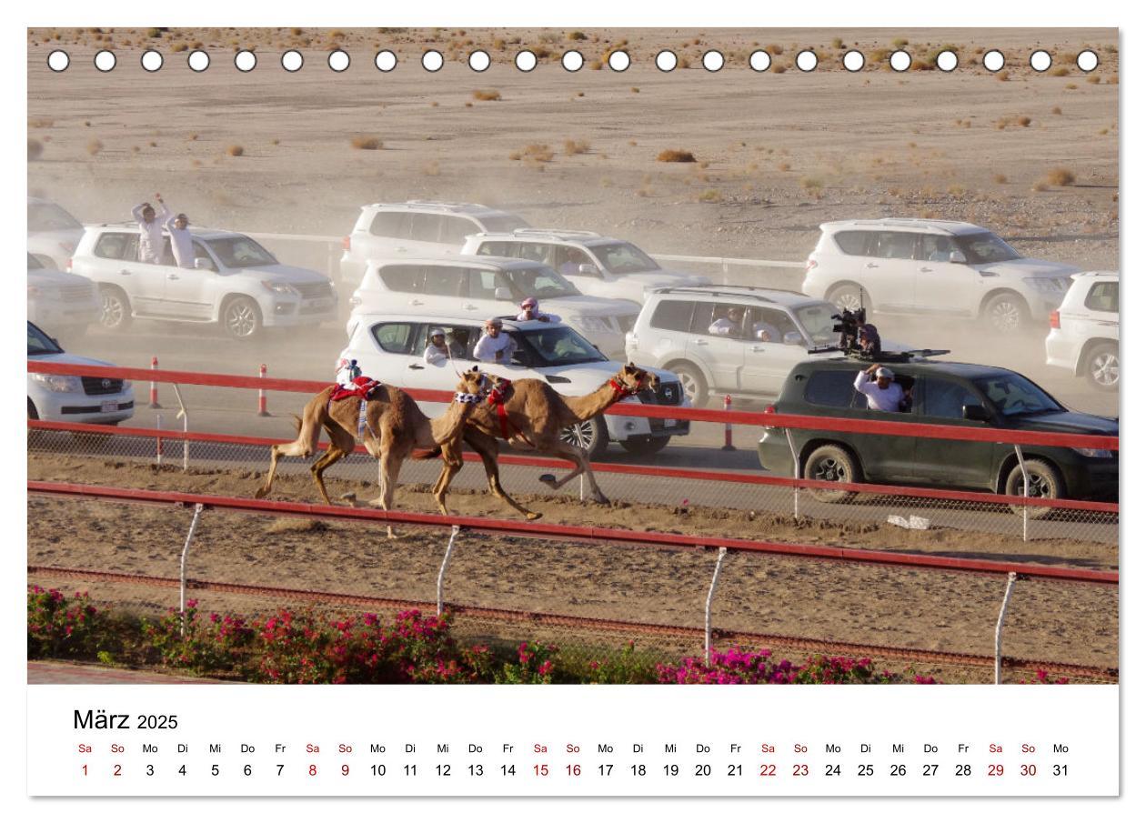 Bild: 9783435062720 | KAMELE... eine Reise durch den Oman. (Tischkalender 2025 DIN A5...