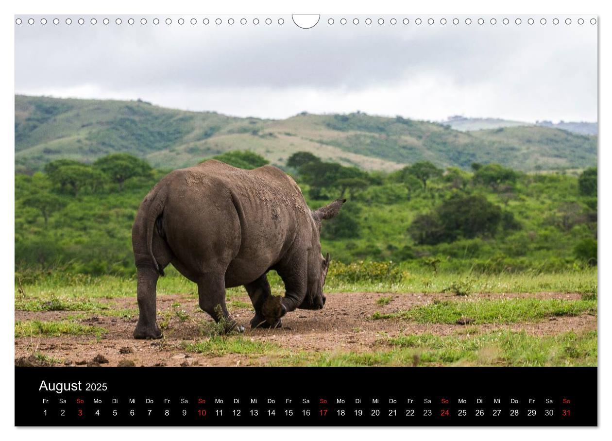 Bild: 9783435838714 | Südafrika (Wandkalender 2025 DIN A3 quer), CALVENDO Monatskalender