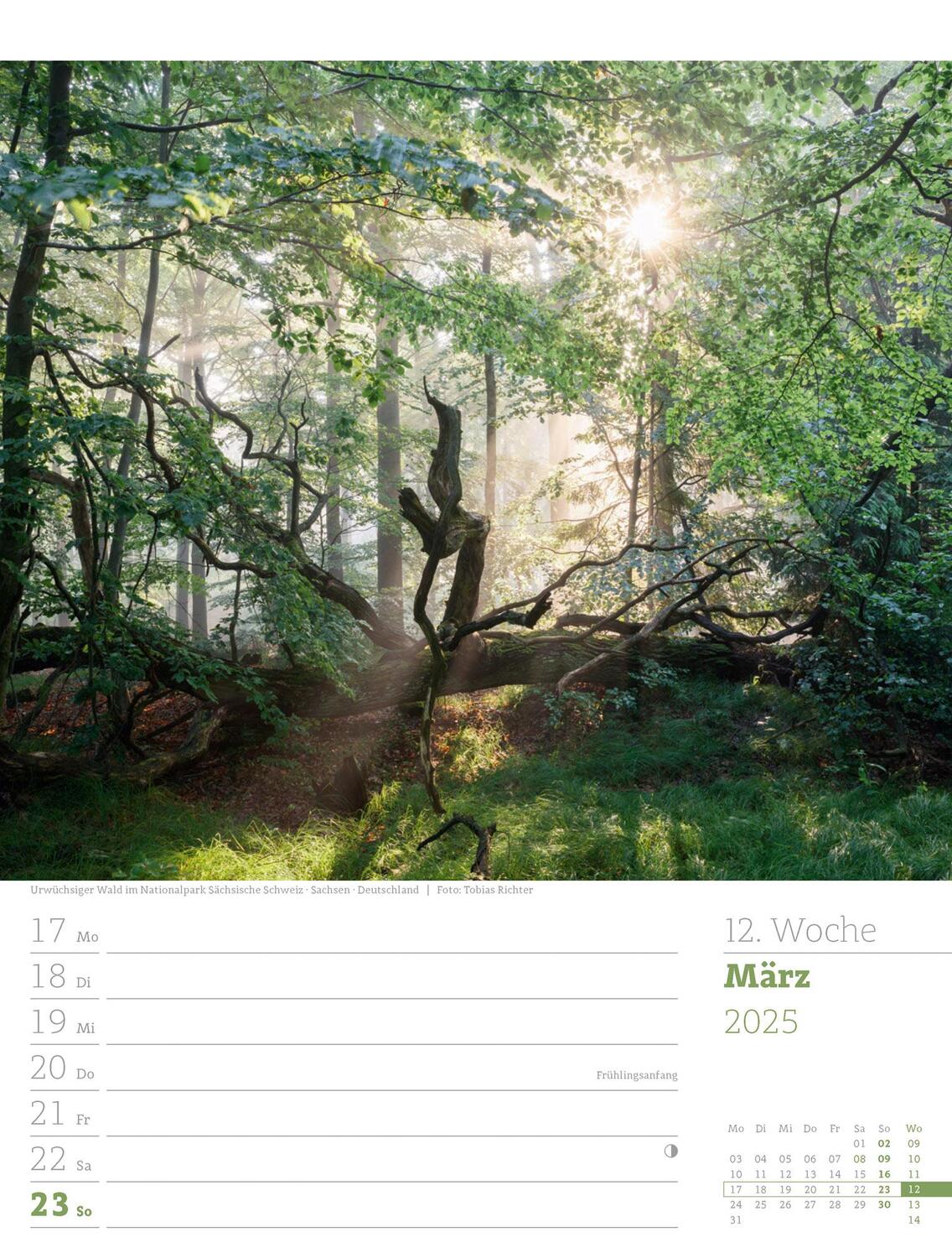 Bild: 9783838425979 | Unser Wald - Wochenplaner Kalender 2025 | Ackermann Kunstverlag | 2025