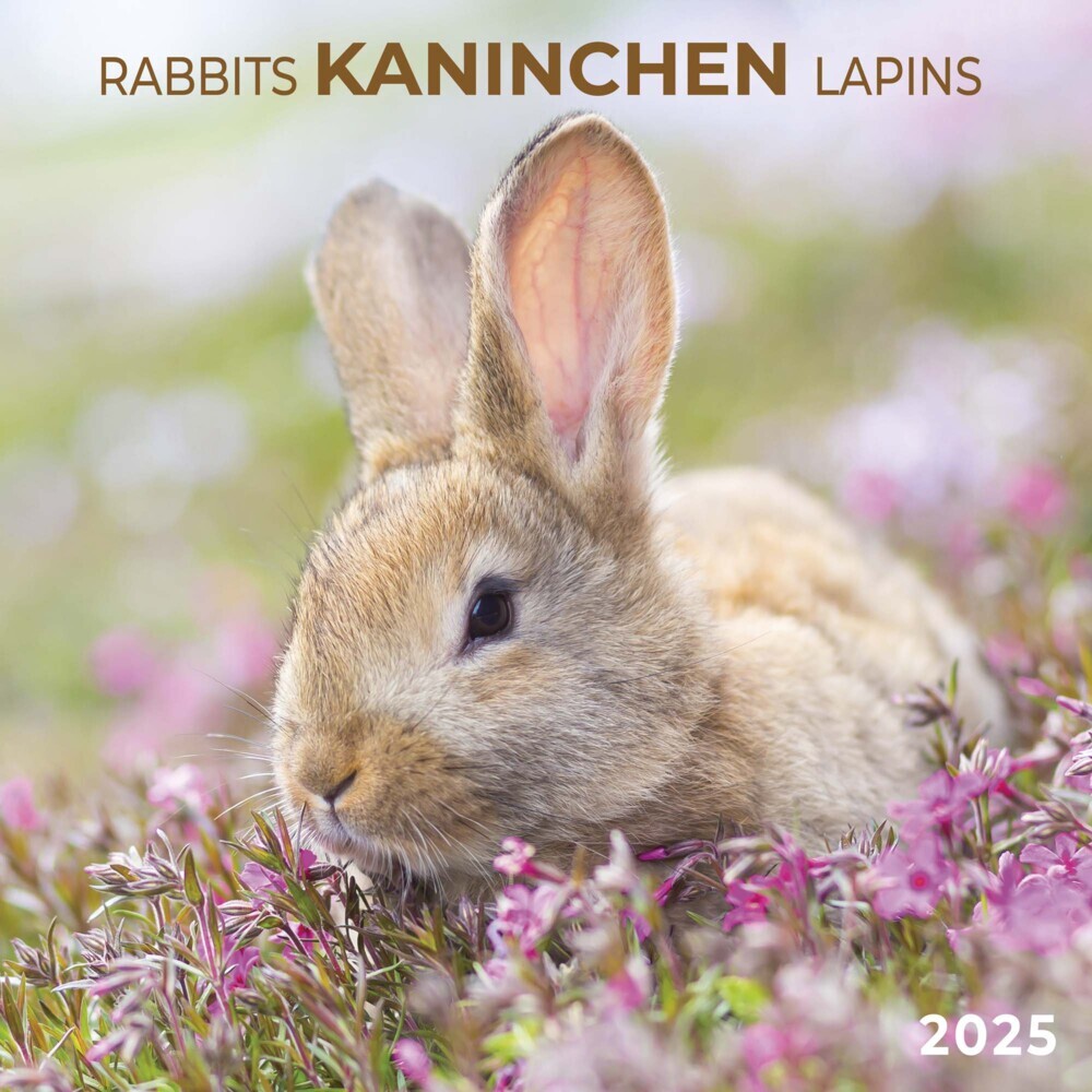 Cover: 9783959294720 | Rabbits/Kaninchen 2025 | Kalender 2025 | Kalender | Drahtheftung