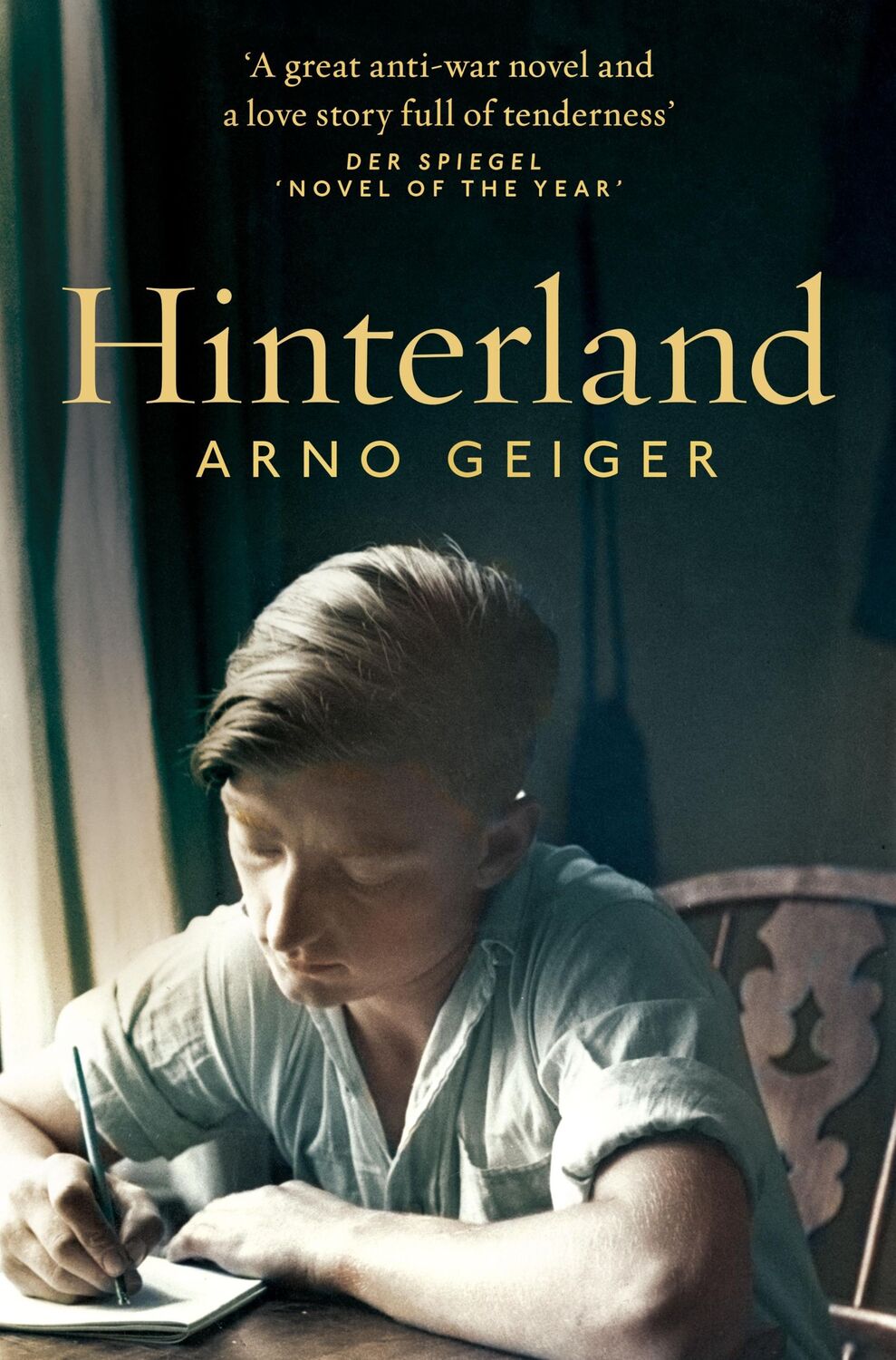 Cover: 9781529003192 | Hinterland | Arno Geiger | Taschenbuch | 330 S. | Englisch | 2024