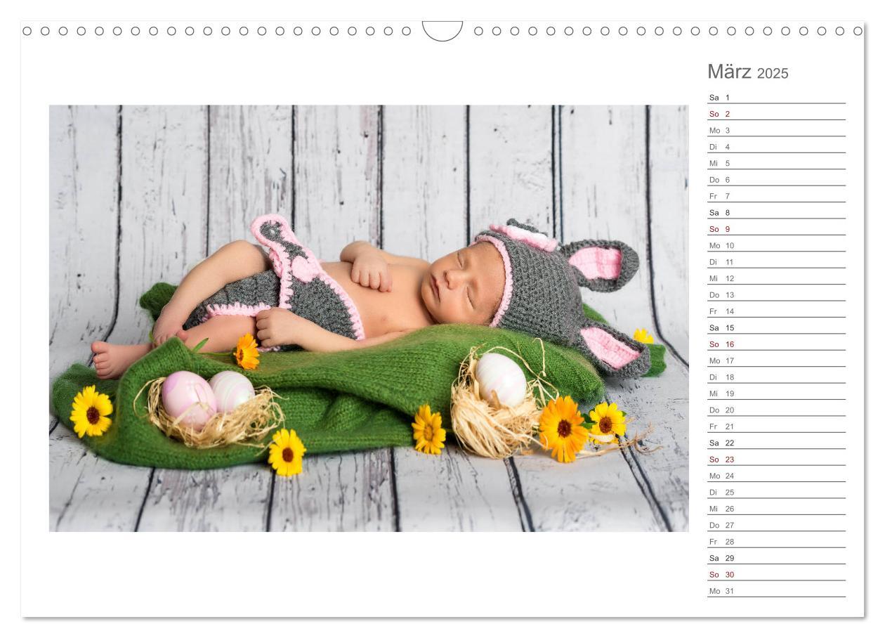 Bild: 9783435437924 | Aller Anfang ist klein - Babykalender mit Noah (Wandkalender 2025...