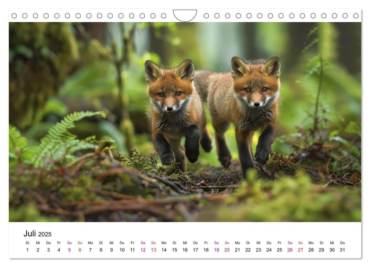 Bild: 9783383815126 | Fuchs - schöne Momente (Wandkalender 2025 DIN A4 quer), CALVENDO...