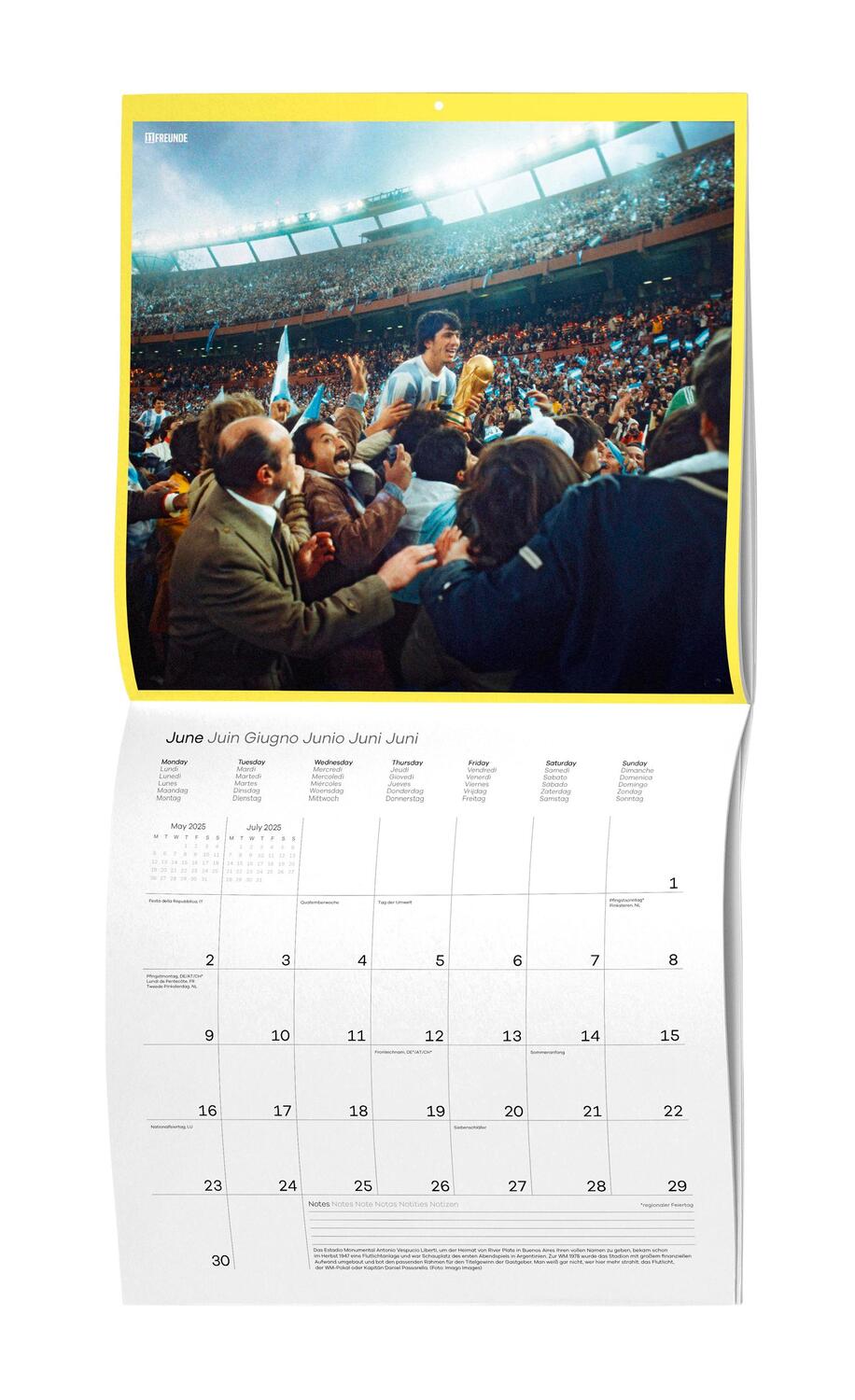 Bild: 4002725995216 | Ein Flutlichtkalender von 11FREUNDE 2025 - Wand-Kalender -...