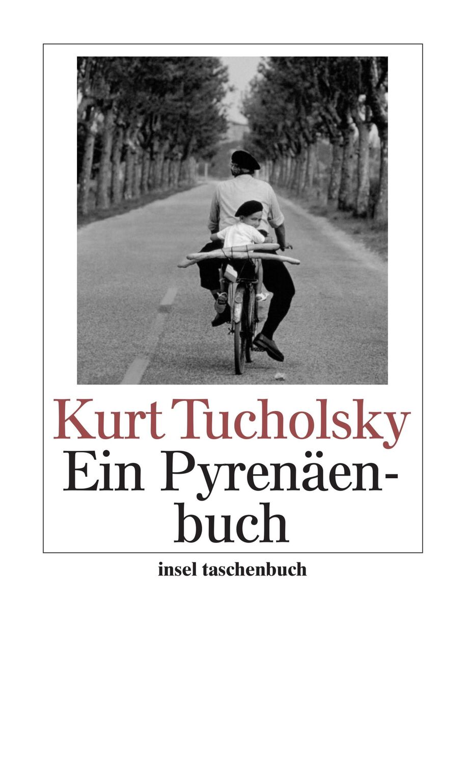 Cover: 9783458349938 | Ein Pyrenäenbuch | Kurt Tucholsky | Taschenbuch | 250 S. | Deutsch