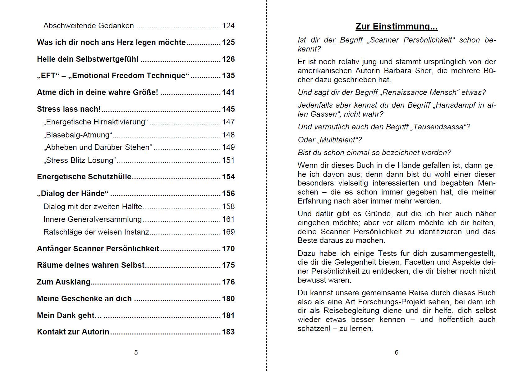 Bild: 9783967381917 | Multiglückliche Scanner Persönlichkeit | Michelle Haintz | Taschenbuch